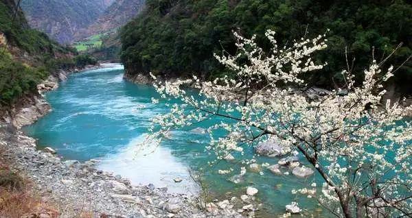 出门遇见黑蛇但没挡路好不好？游戏画面